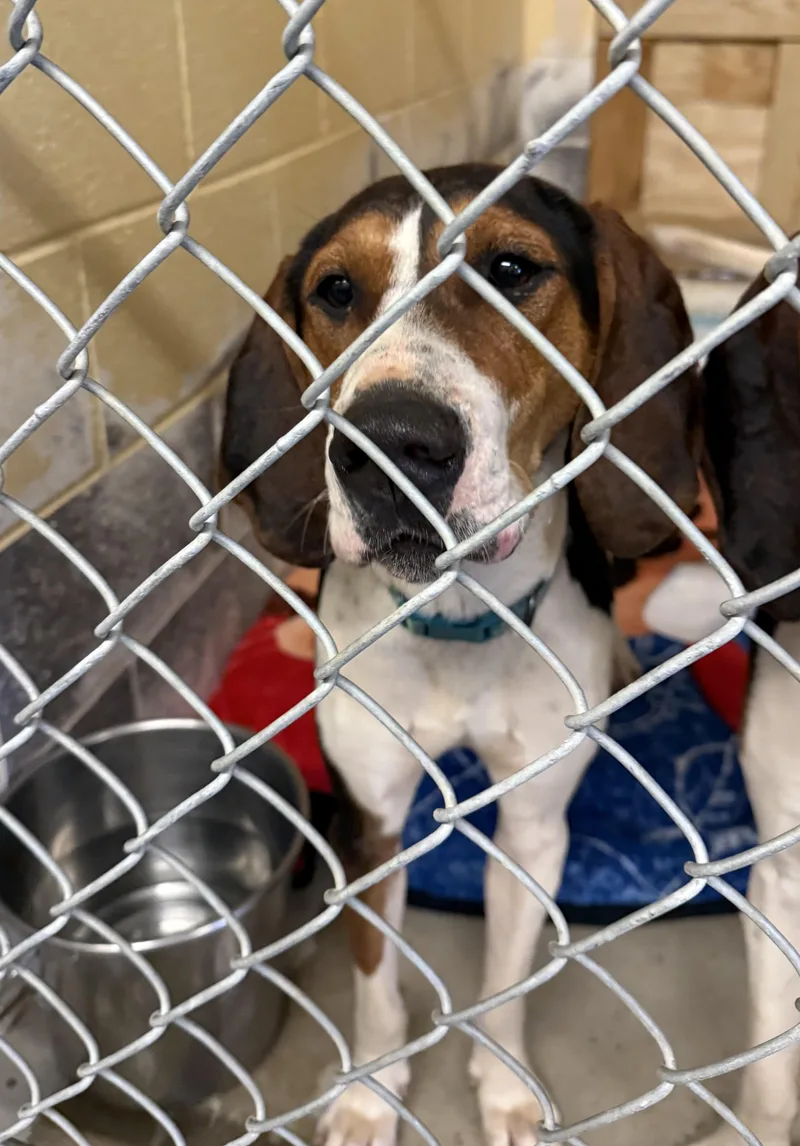 Ice Princess thumbnail 3