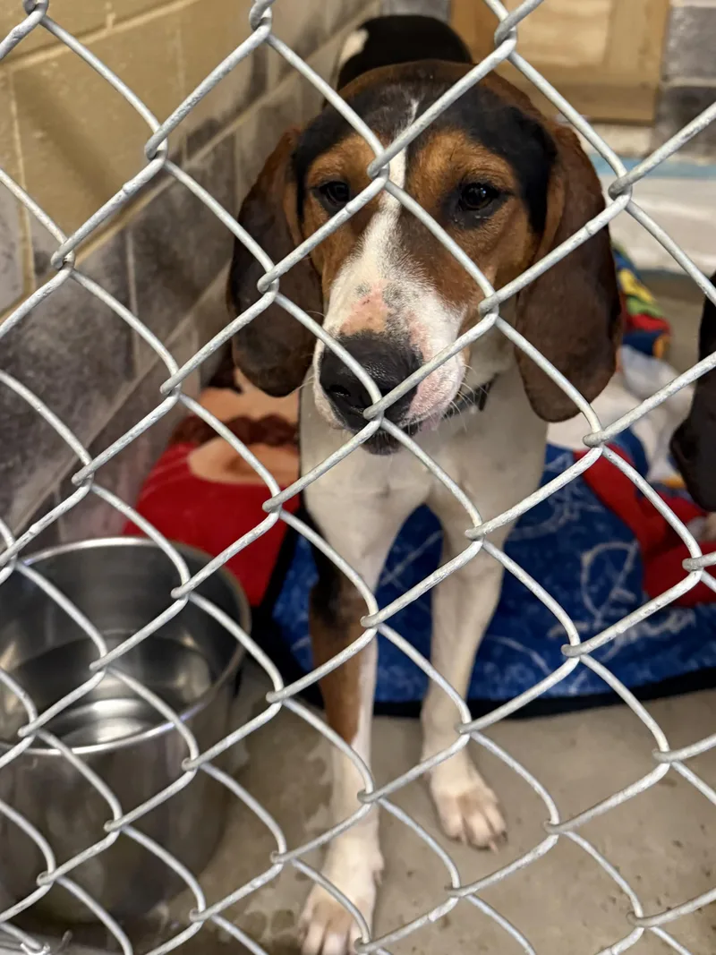 Ice Princess thumbnail 4