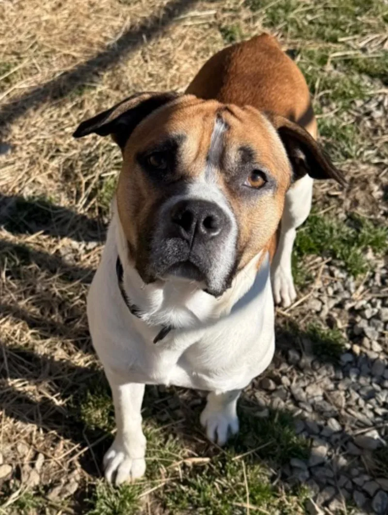 Jerry Clower thumbnail 2