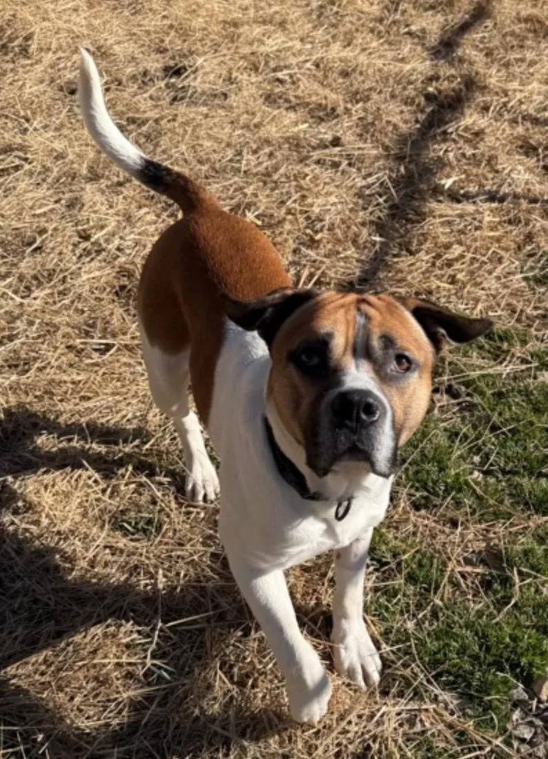 Jerry Clower thumbnail 3