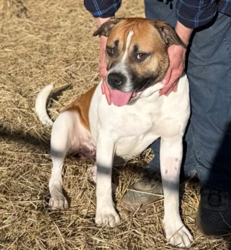 Jerry Clower thumbnail 4