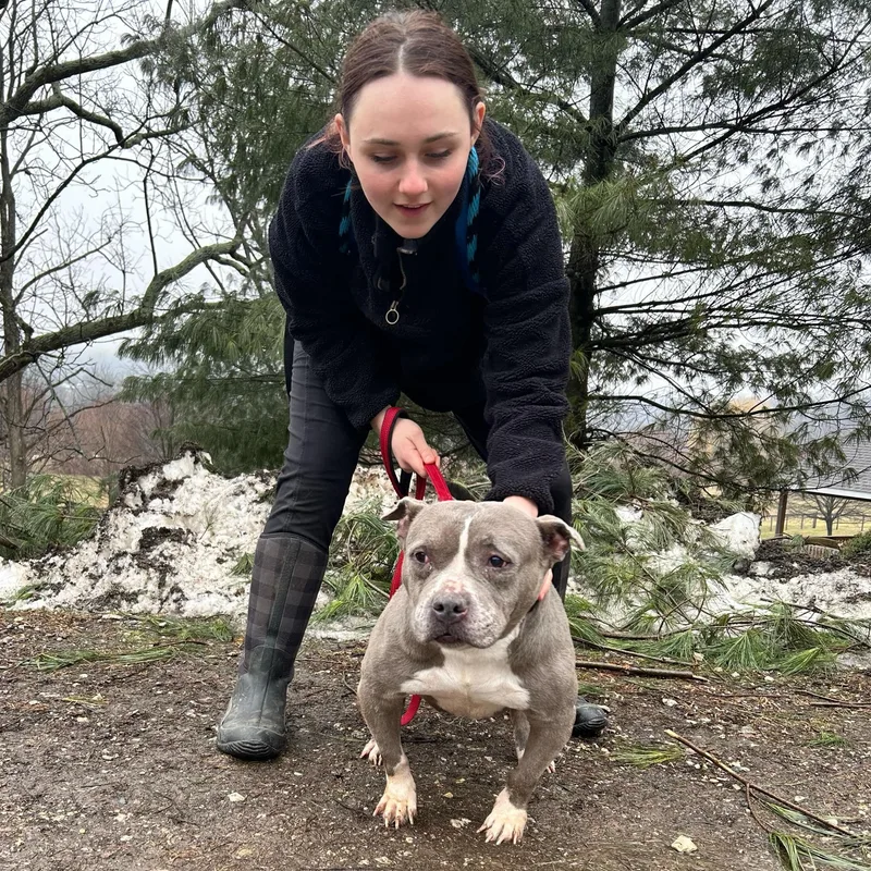 Lady Blue thumbnail 2