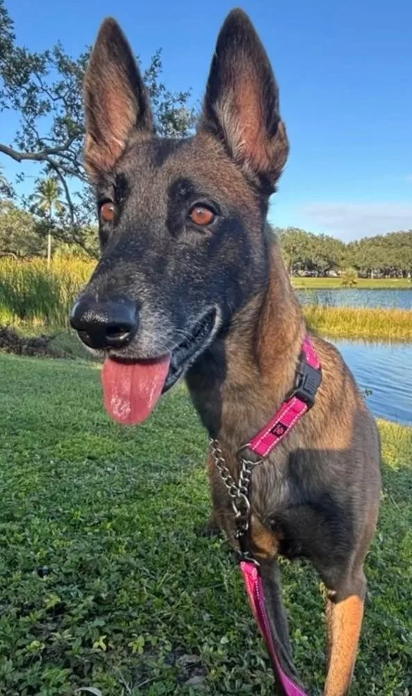 Berry  Located In thumbnail 2