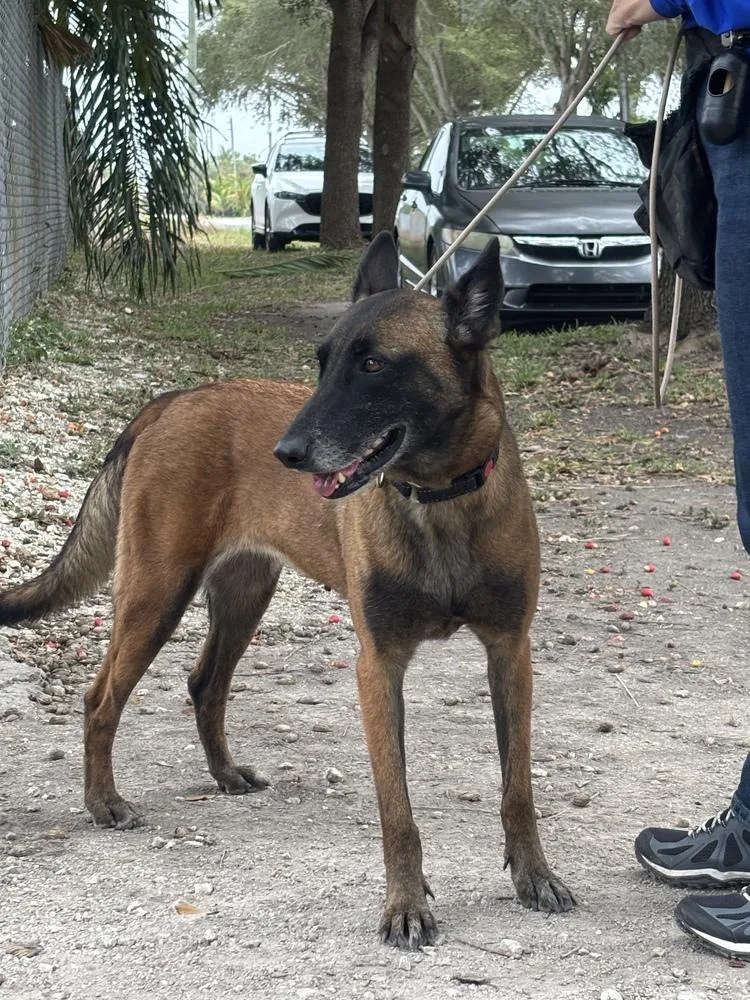 Berry  Located In thumbnail 3