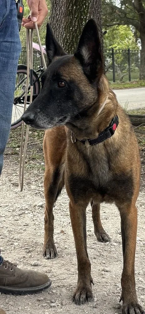 Berry  Located In thumbnail 5