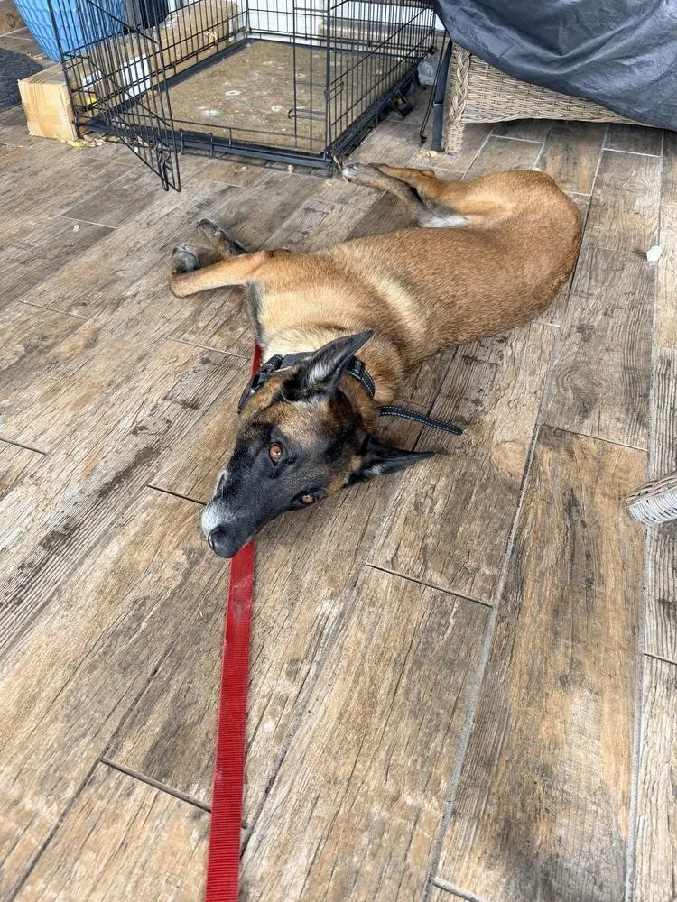 Berry  Located In thumbnail 6