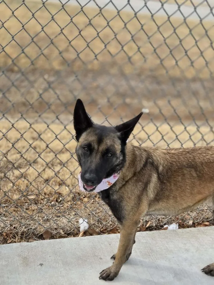 Jesse  Located In thumbnail 2