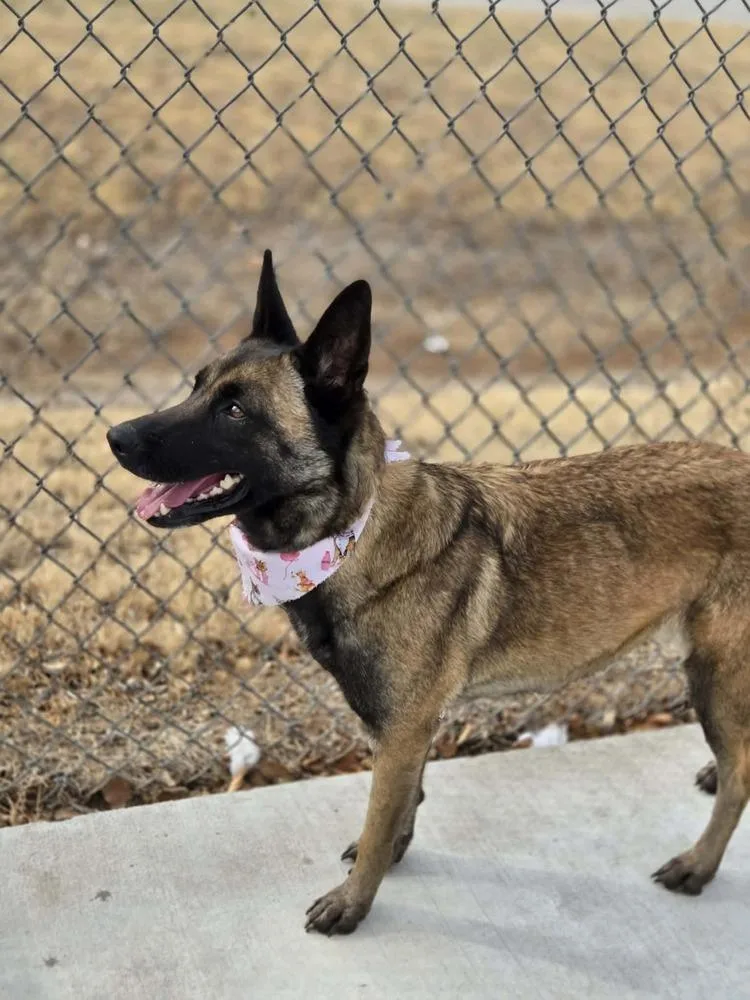 Jesse  Located In thumbnail 3