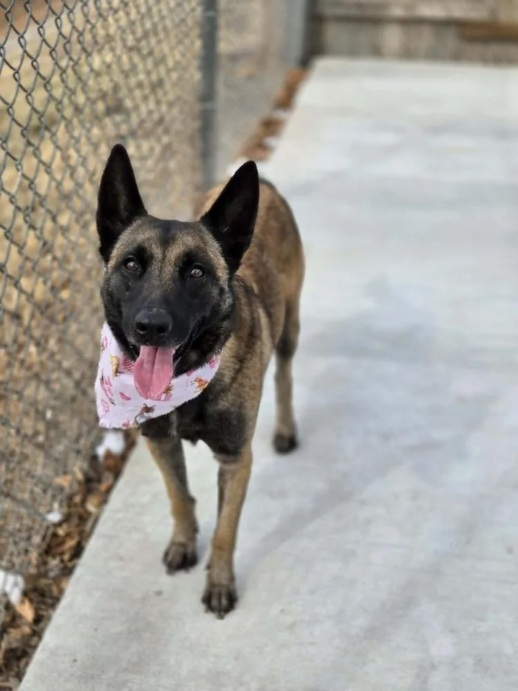 Jesse  Located In thumbnail 4