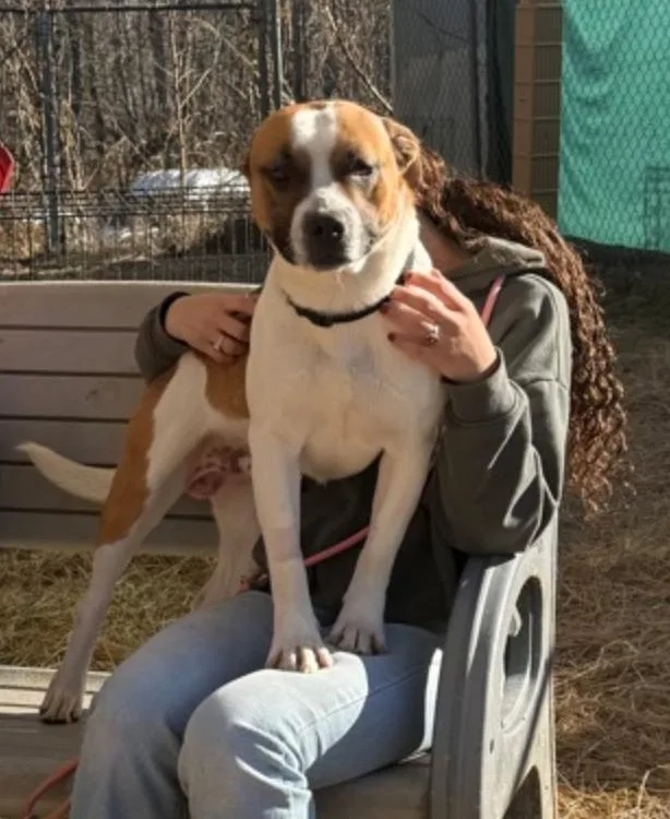 Marcelle Ledbetter thumbnail 2