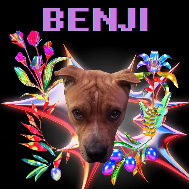 Benji thumbnail 2