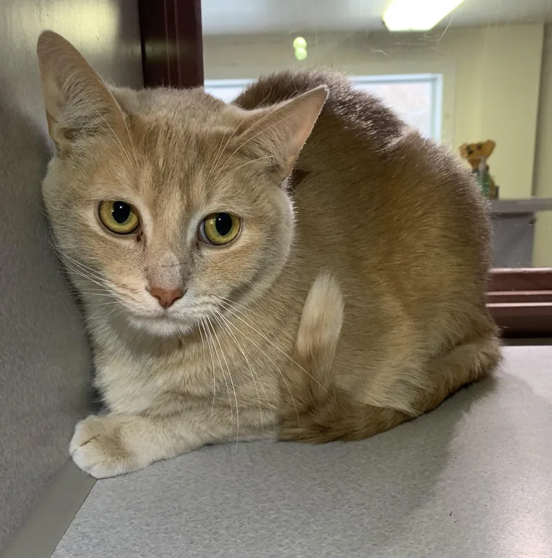 Mo Sponsored thumbnail 2