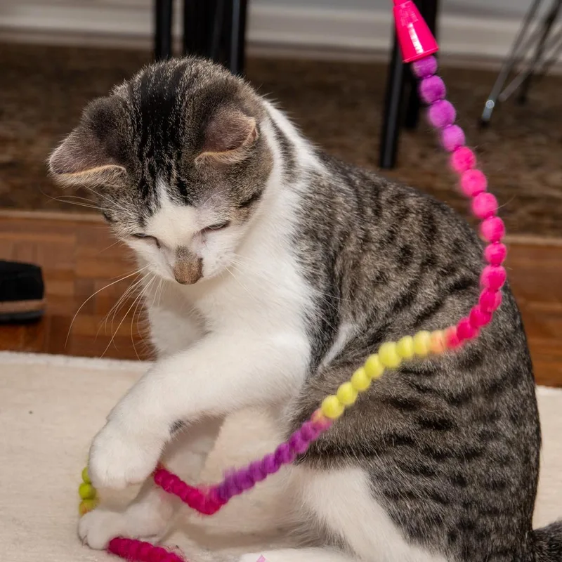 Sonny & Fredo thumbnail 2