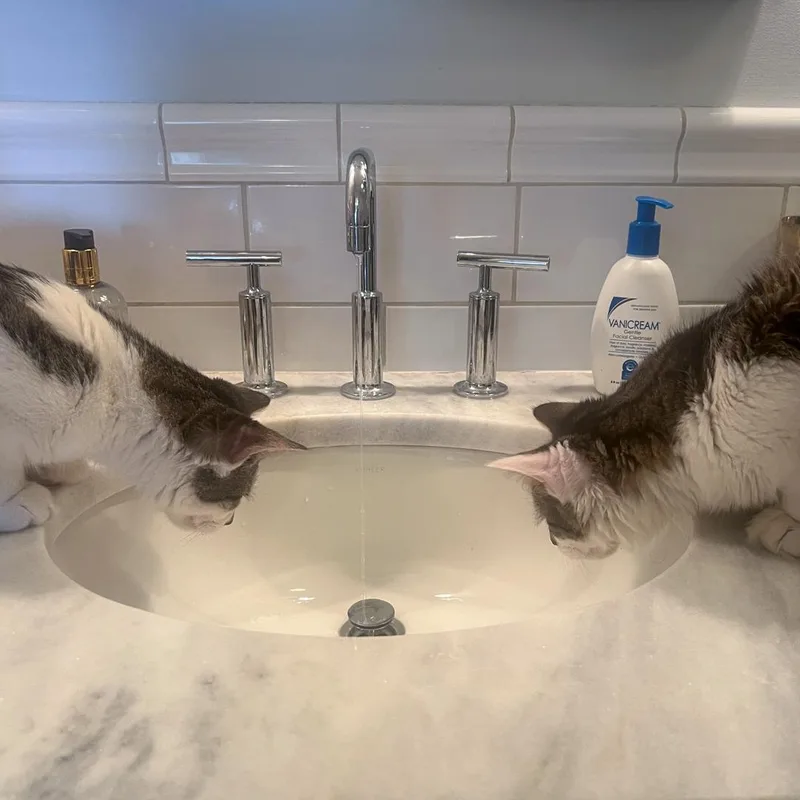 Sonny & Fredo thumbnail 3