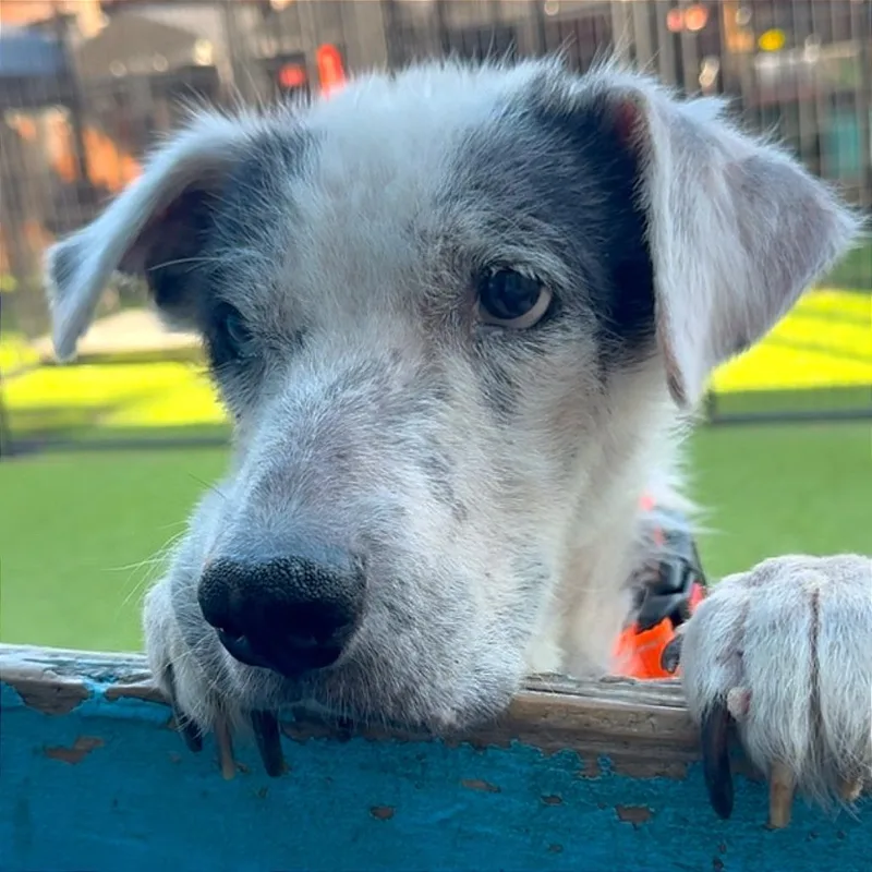 Girlie Girl thumbnail 2