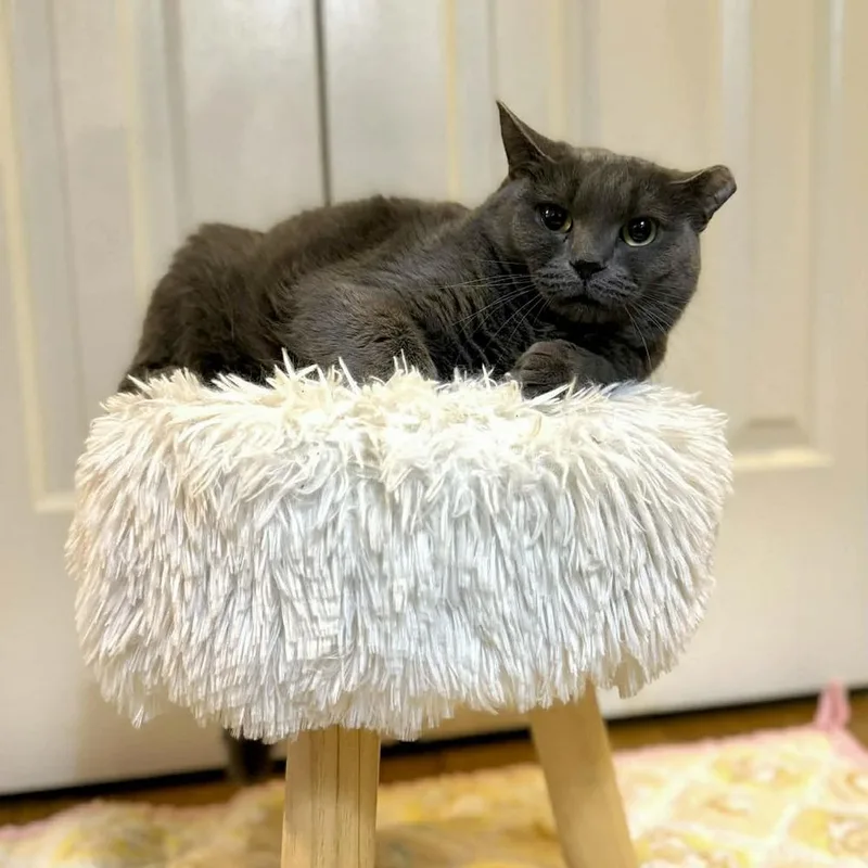 Florence thumbnail 2