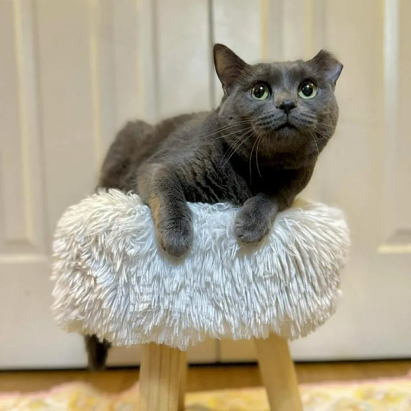 Florence thumbnail 4