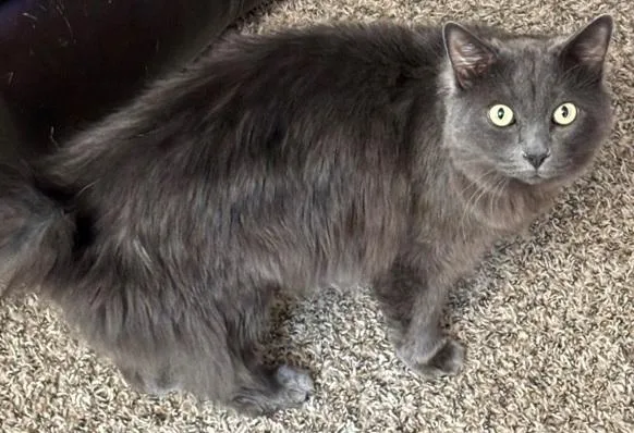 Sophia& Breslin thumbnail 2