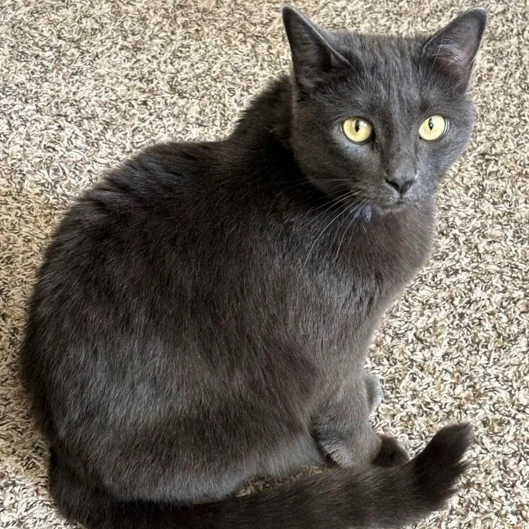 Sophia& Breslin thumbnail 4