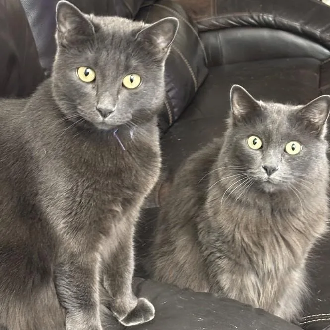 Sophia& Breslin thumbnail 5