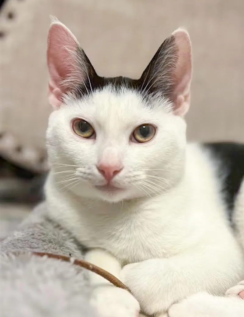 Crystal & Casper thumbnail 2