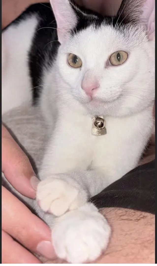 Crystal & Casper thumbnail 3