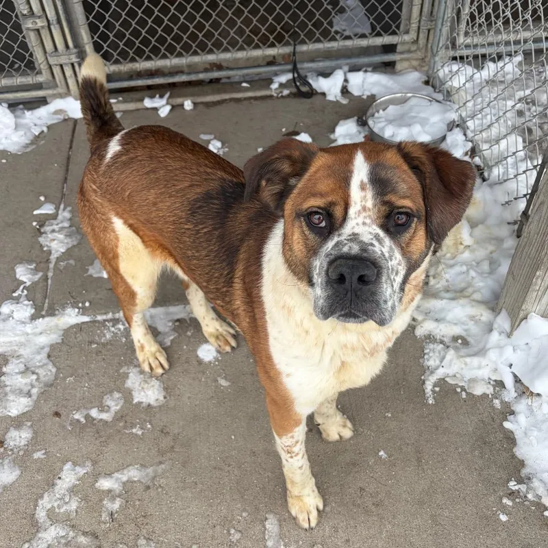 Wrangler thumbnail 3