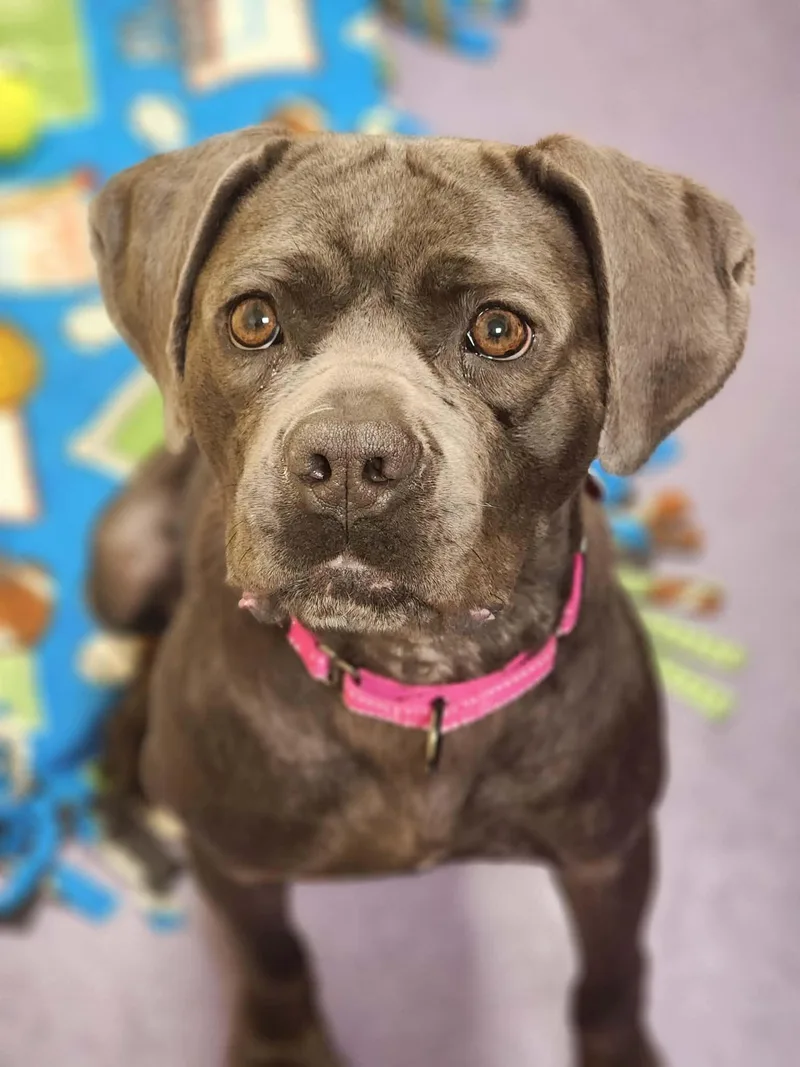 Cypress! thumbnail 2