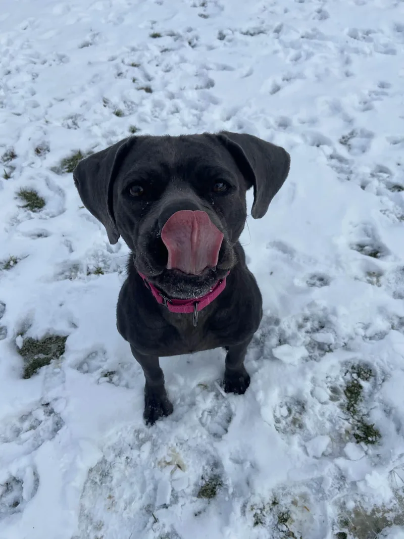 Cypress! thumbnail 3