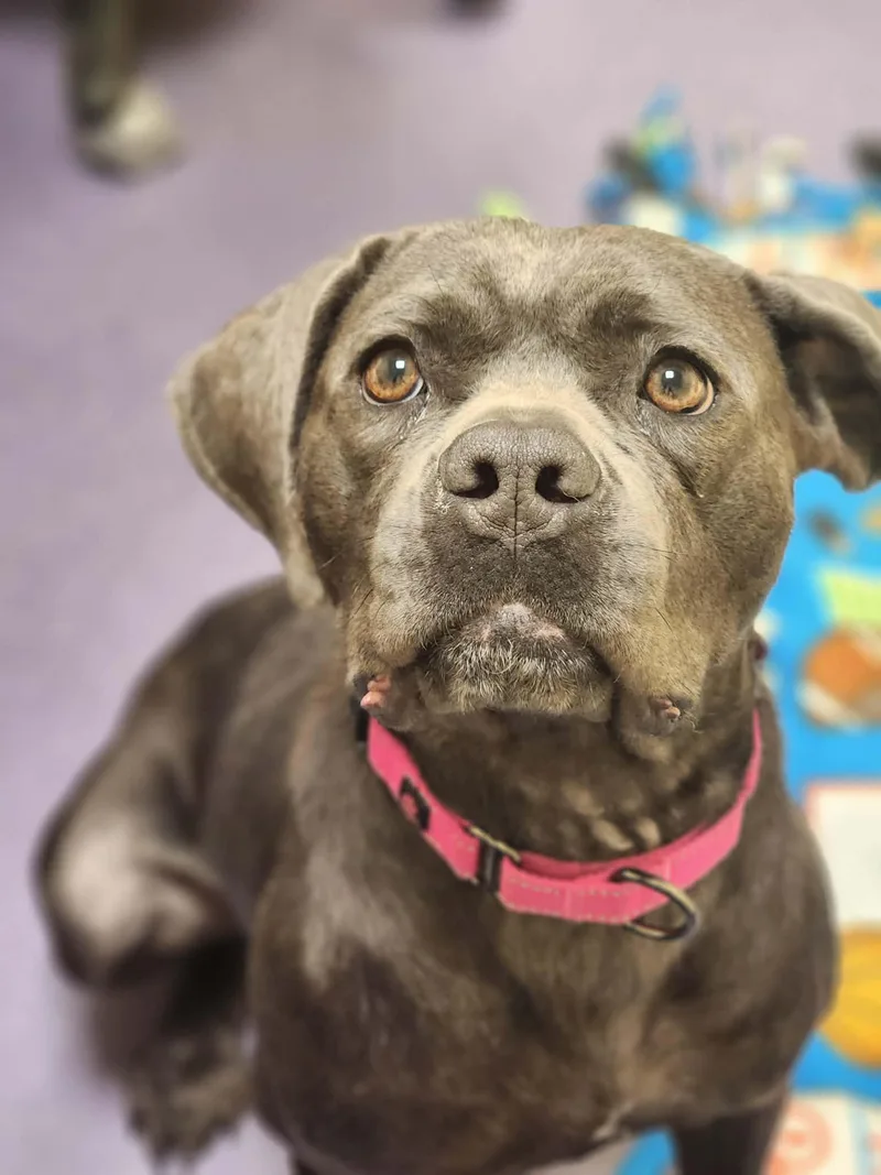 Cypress! thumbnail 5