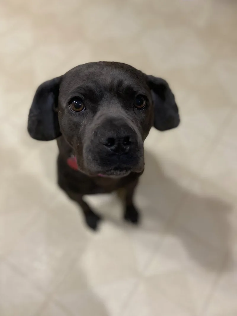 Cypress! thumbnail 6