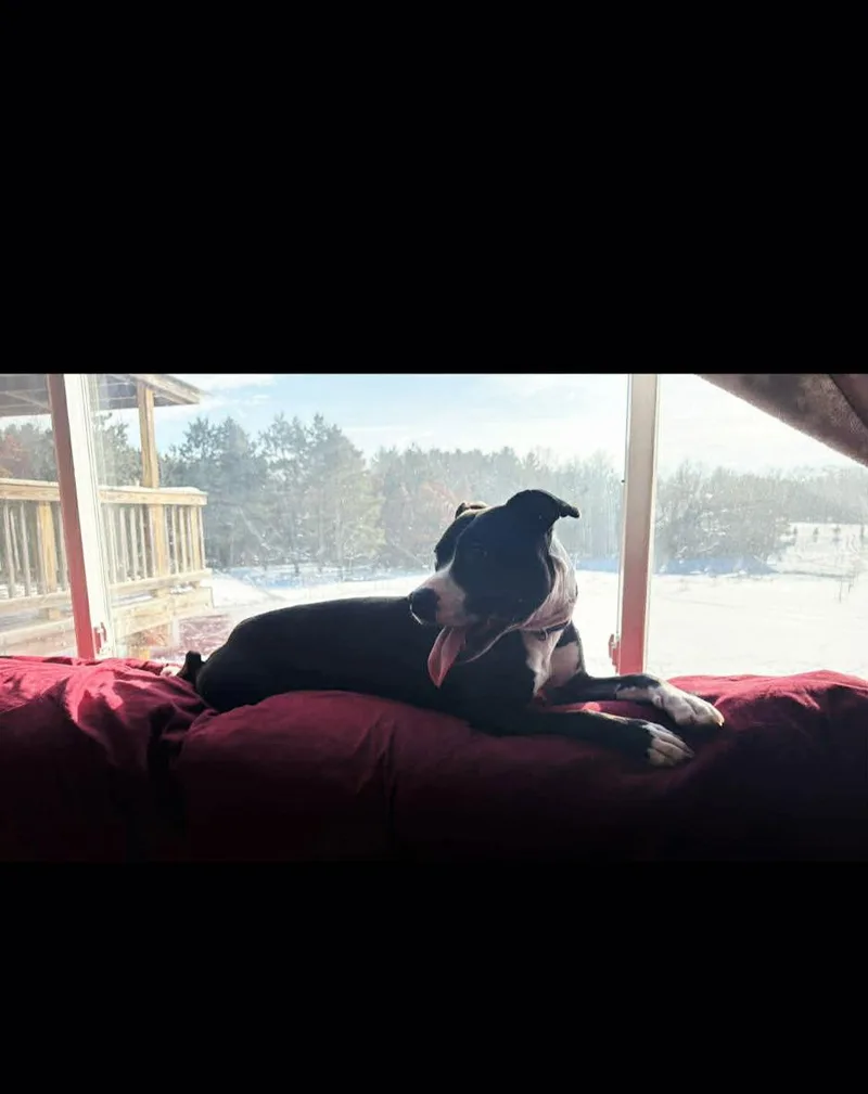 Diamond Os thumbnail 3