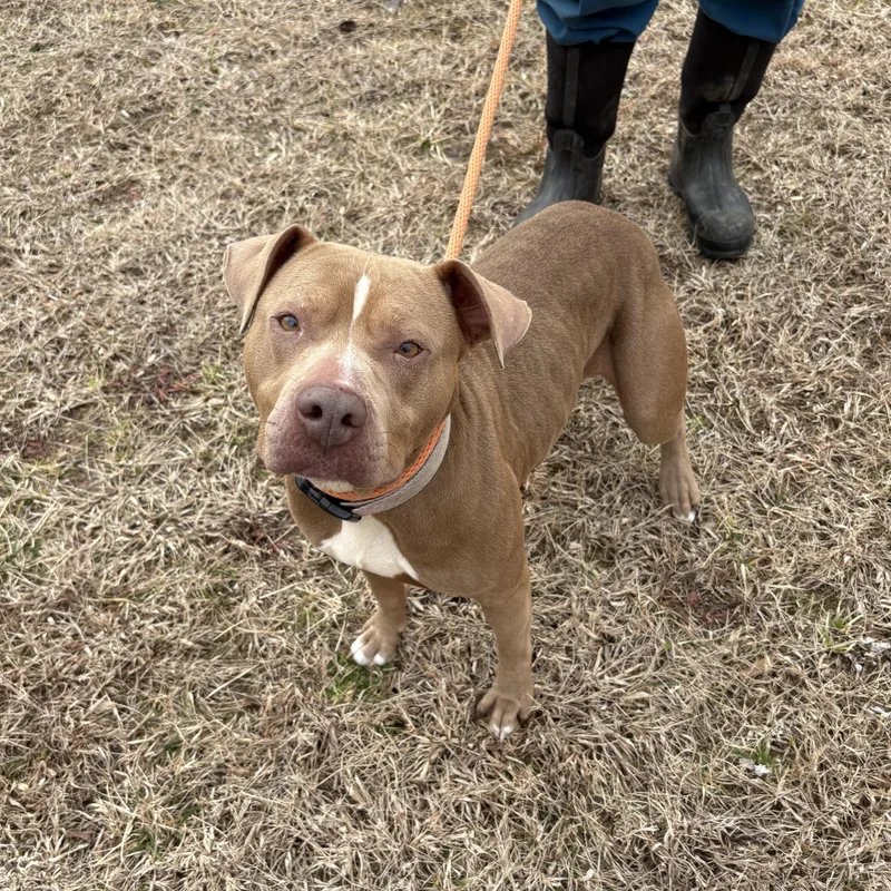 Clementine thumbnail 2