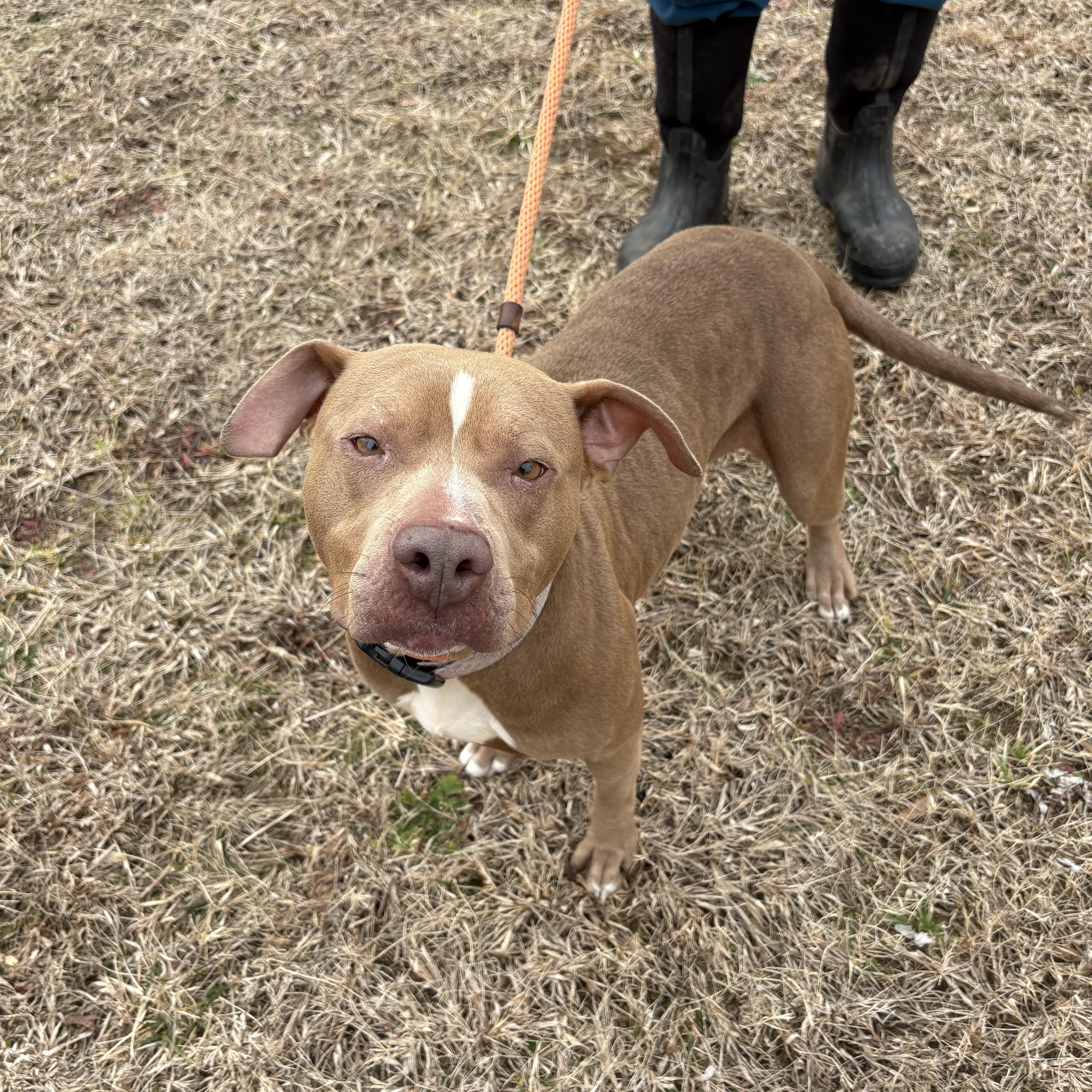 Clementine thumbnail 3