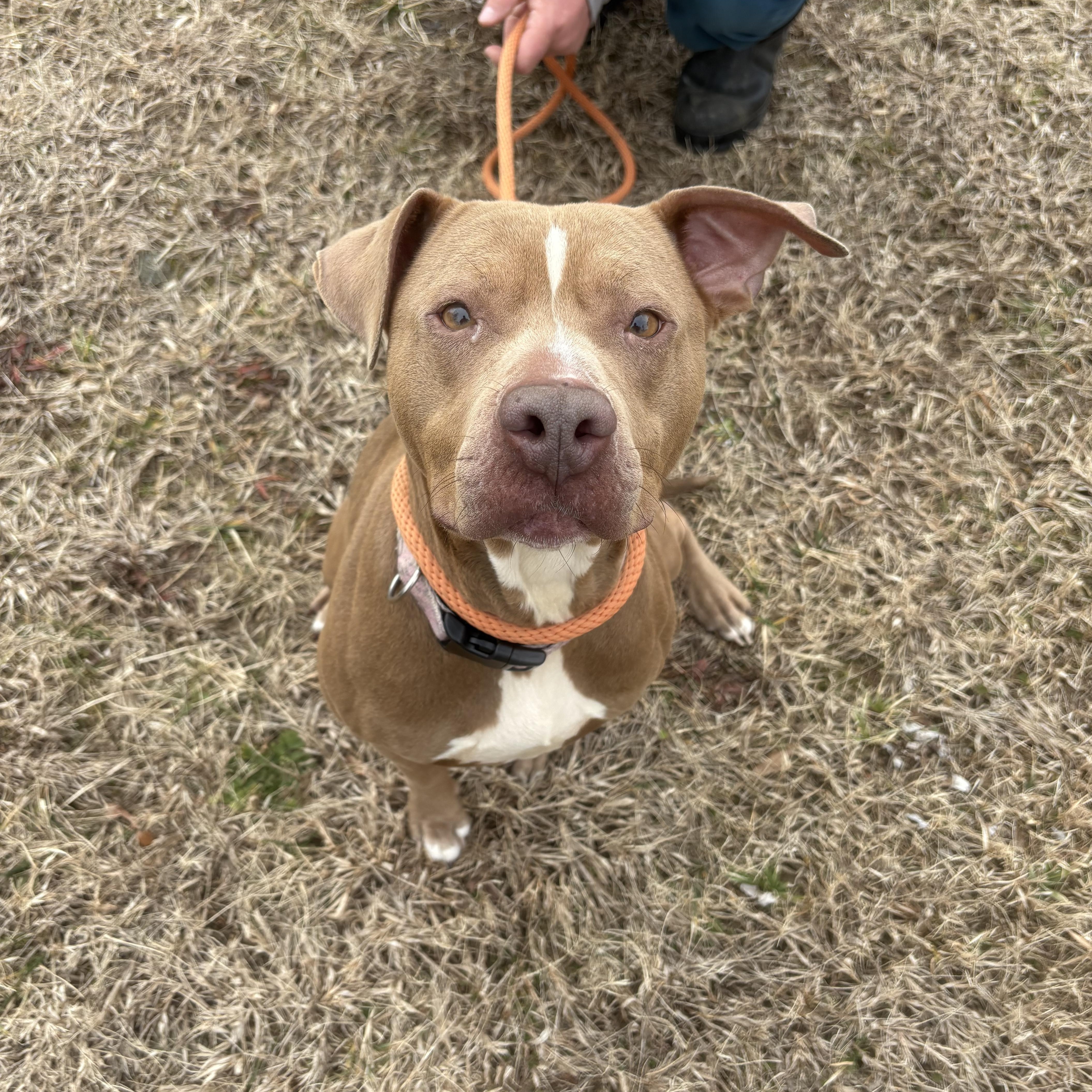 Clementine thumbnail 5