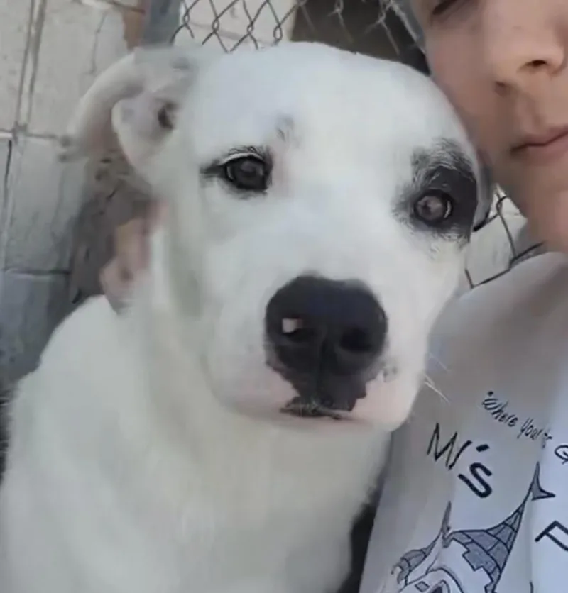 Bxhekaj  Pinkie thumbnail 2