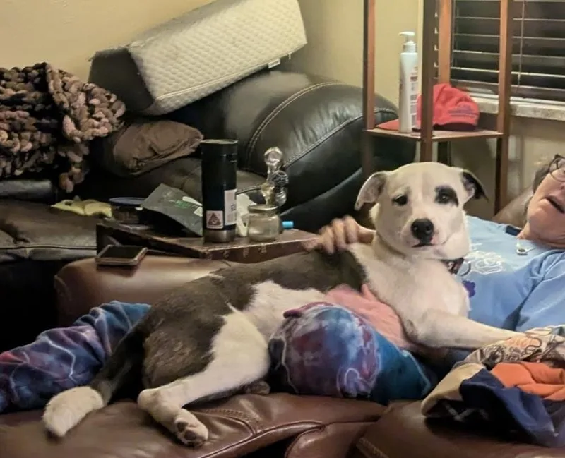 Bxhekaj  Pinkie thumbnail 3