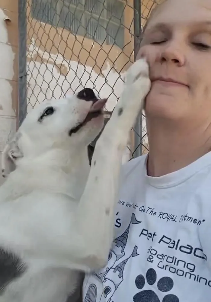 Bxhekaj  Pinkie thumbnail 5