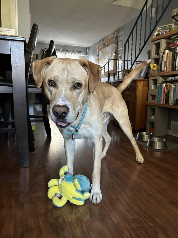 Ayzerman  Slim Pickens thumbnail 2