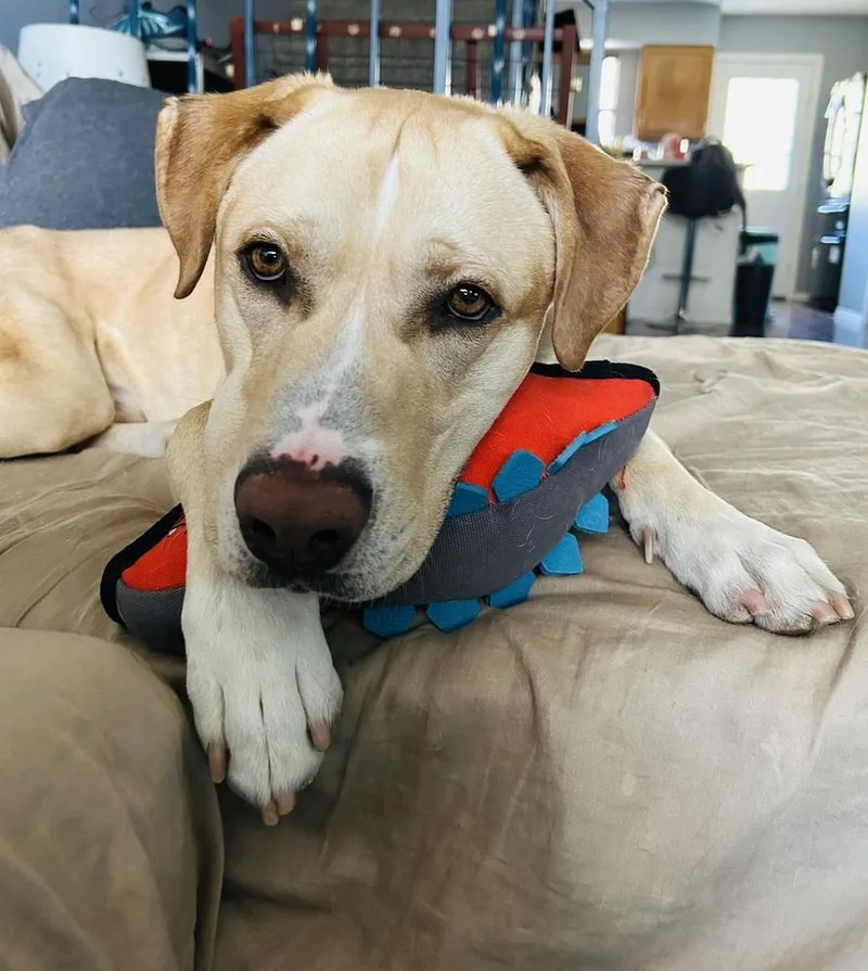 Ayzerman  Slim Pickens thumbnail 4