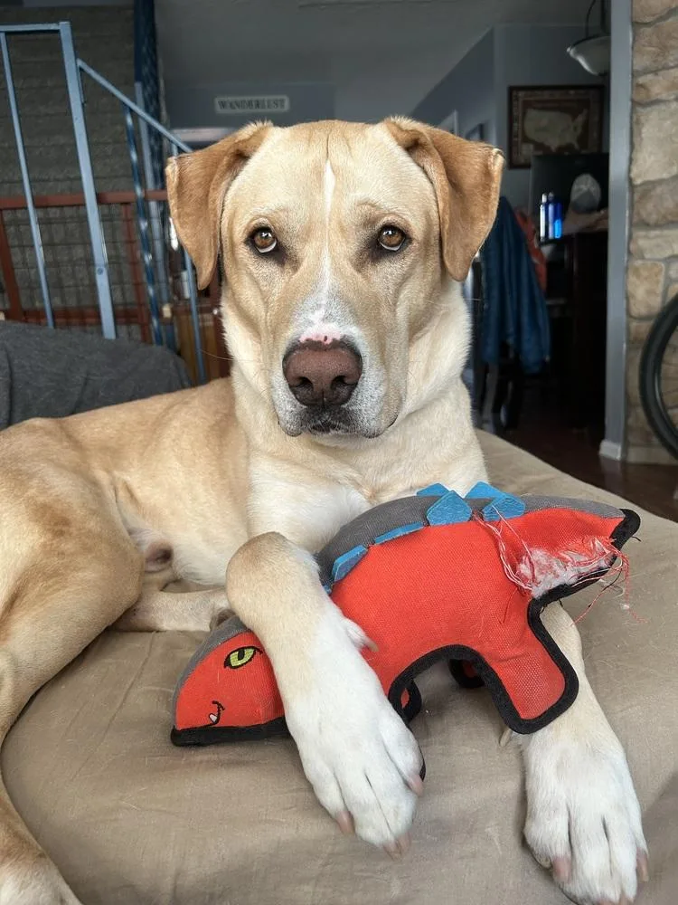 Ayzerman  Slim Pickens thumbnail 5