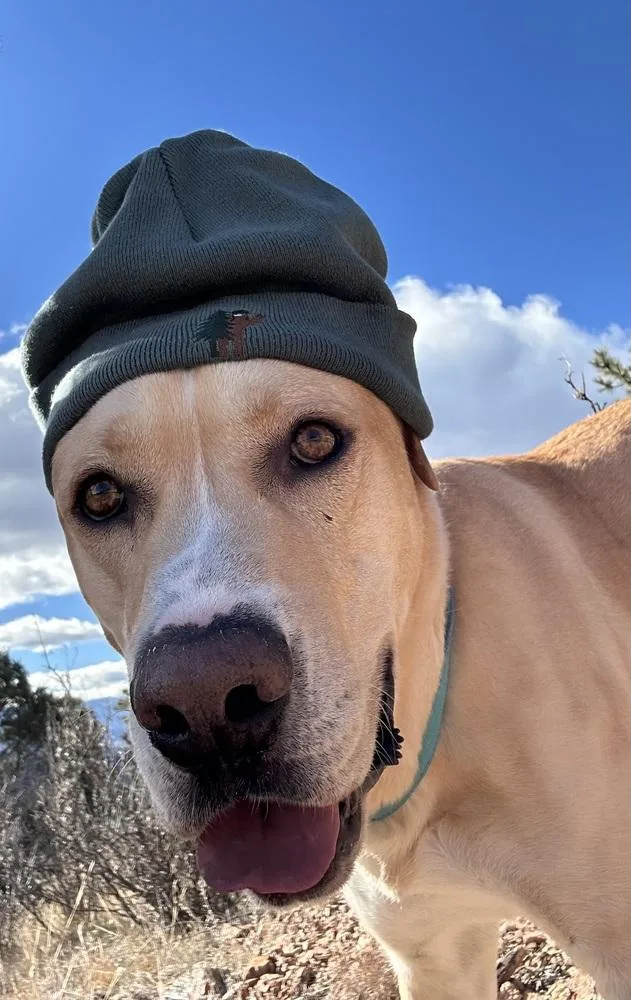 Ayzerman  Slim Pickens thumbnail 6