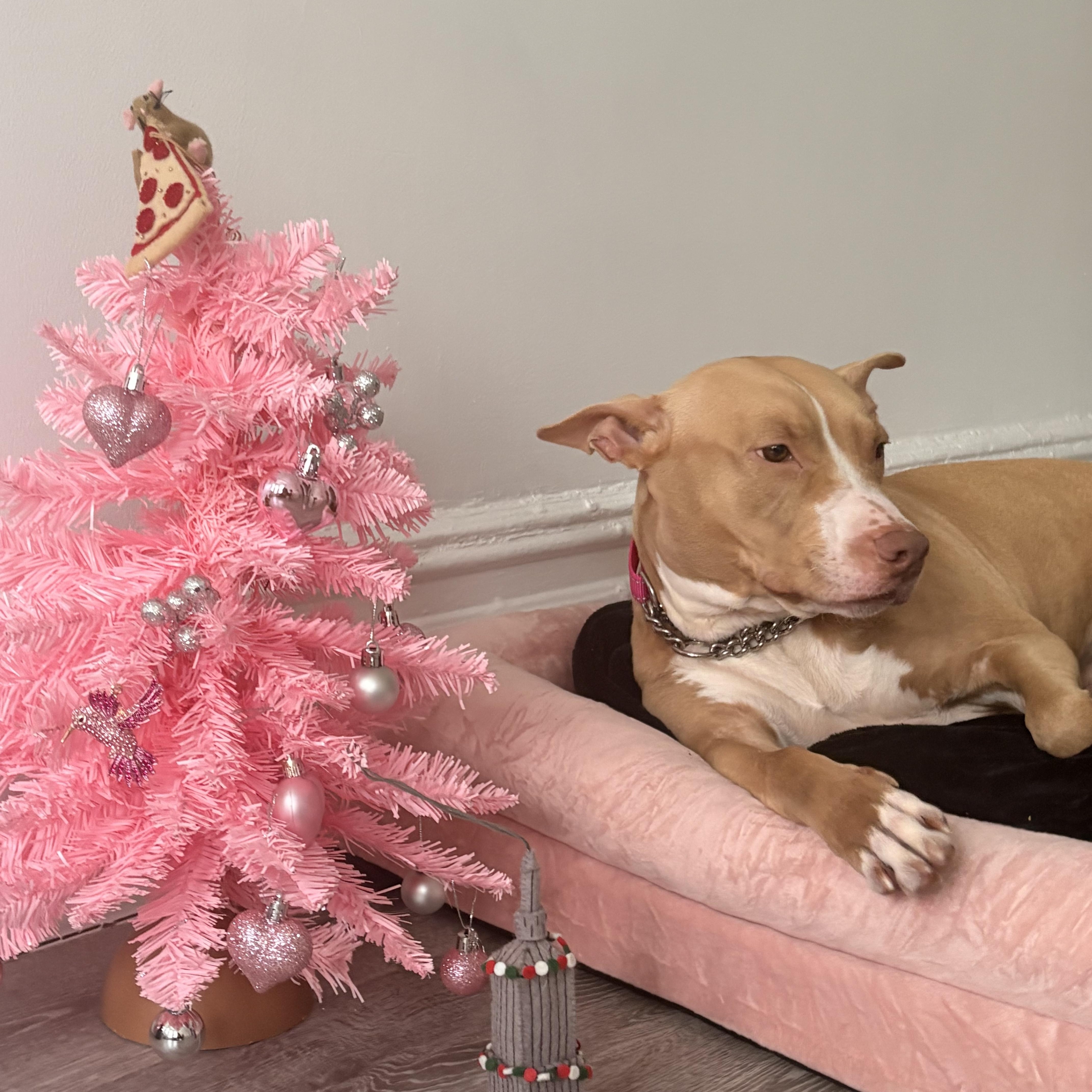 Lola thumbnail 2