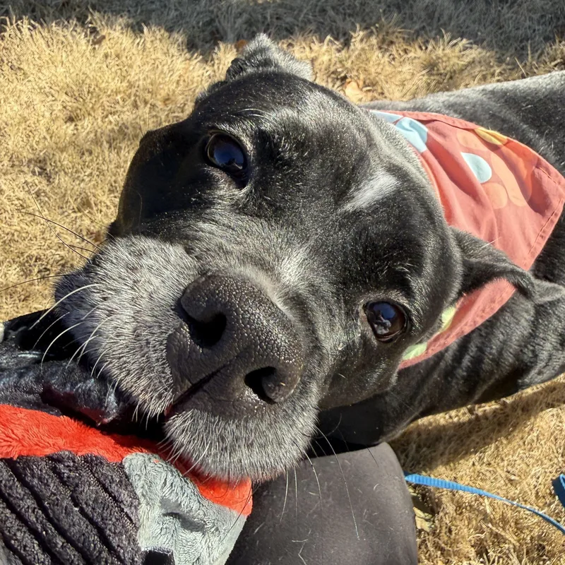 Maggie Mae thumbnail 2