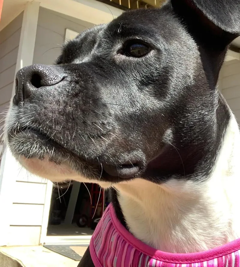 Maggie Mae thumbnail 3