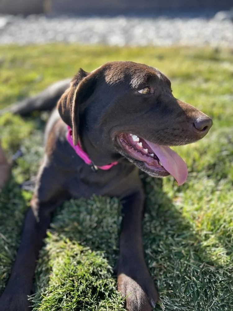 Tavares  Joann  thumbnail 2