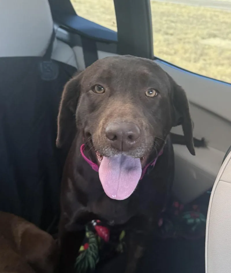 Tavares  Joann  thumbnail 5