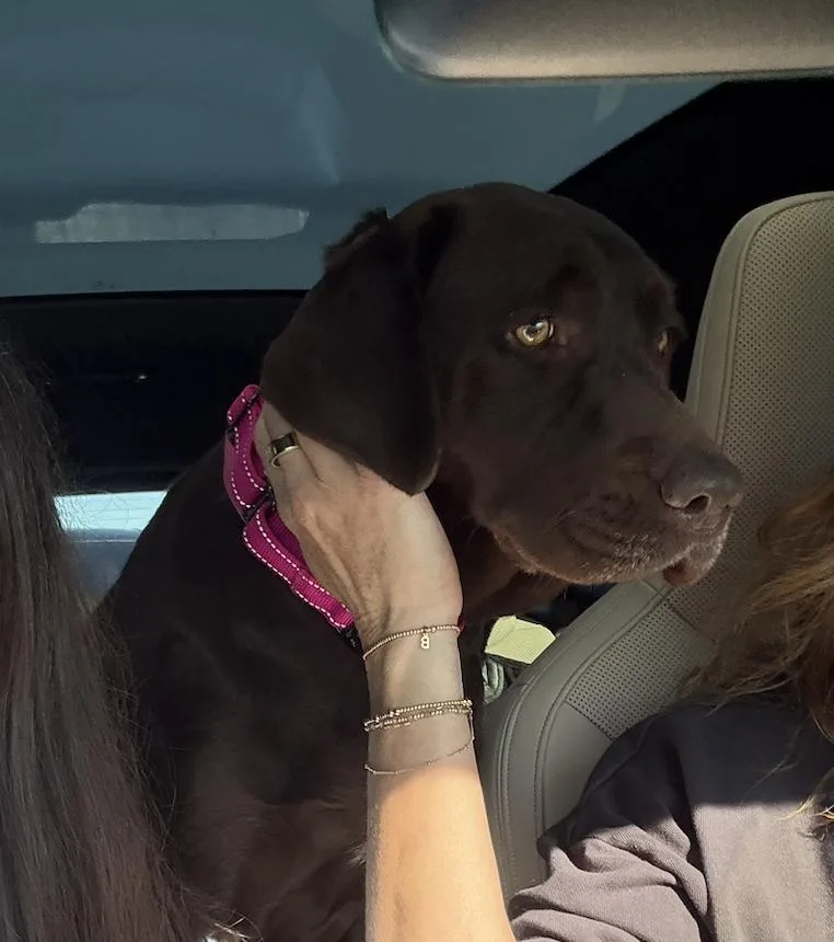 Tavares  Joann  thumbnail 6