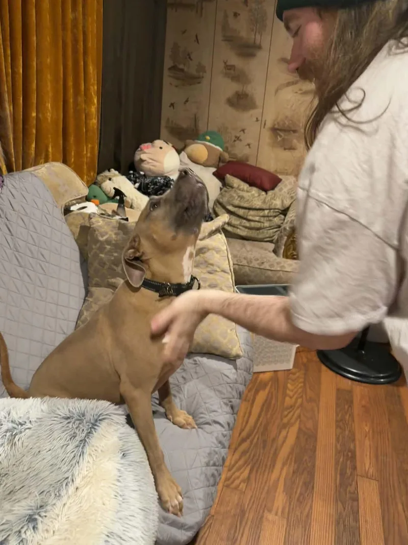 Bon Bon Betty! thumbnail 3