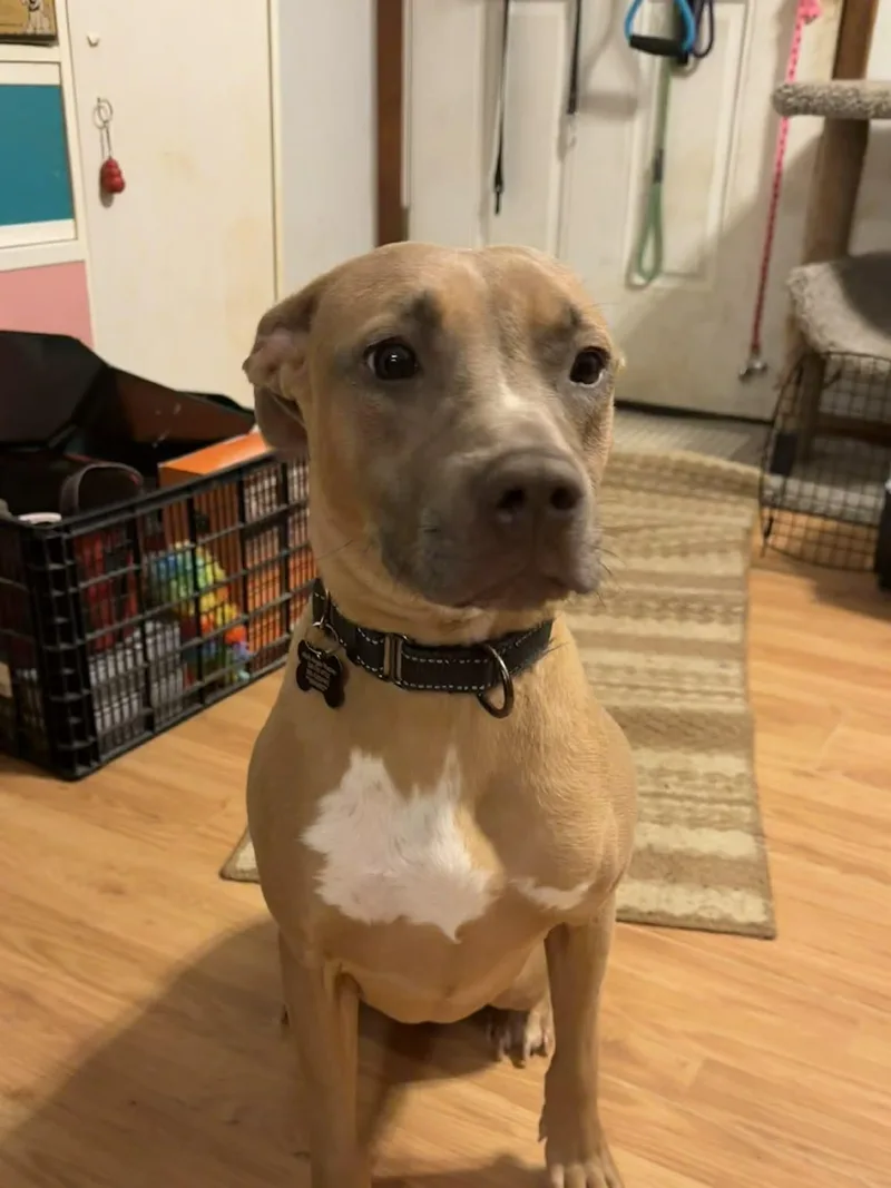 Bon Bon Betty! thumbnail 4